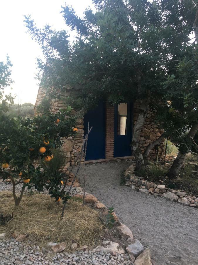Finca Florecer Tivenys Exterior foto